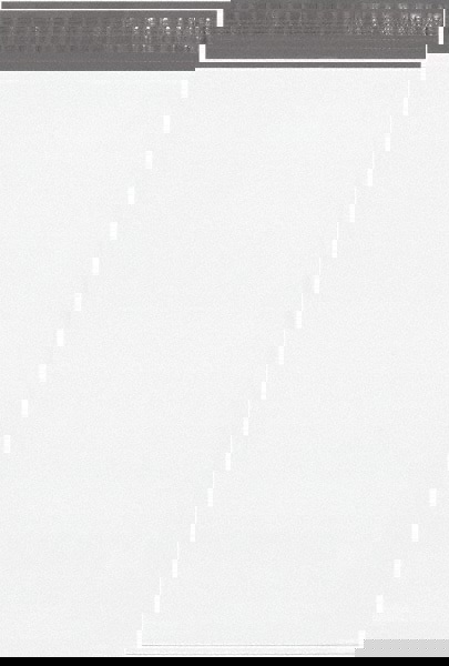 Courier Mailing Envelope: 15